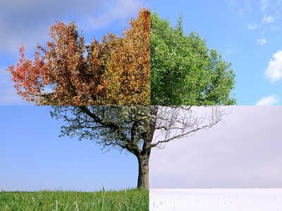 respect des saisons